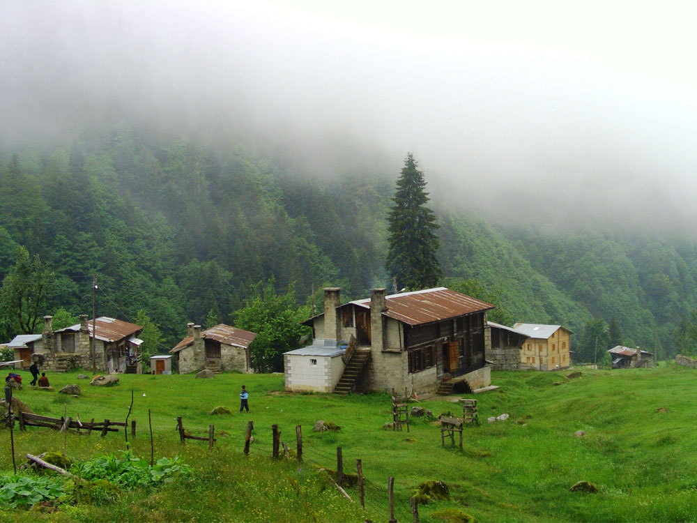 Ayder Yaylası
