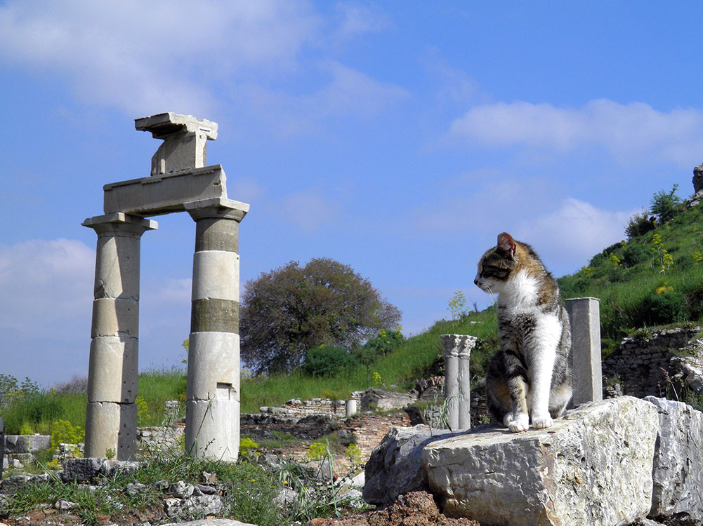 Kutsal ateşin muhafızı Hestia’ya adanmış Hestia (Vesta) Tapınağı