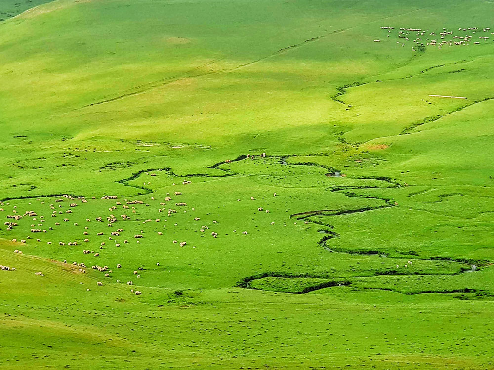 Perşembe Yaylası