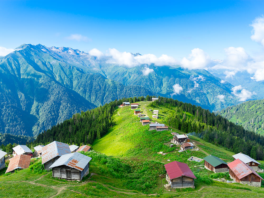 Pokut Yaylası